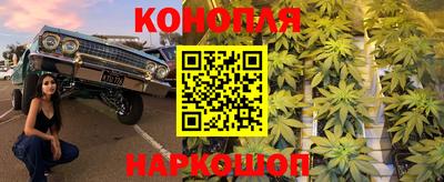 mdpv Можга